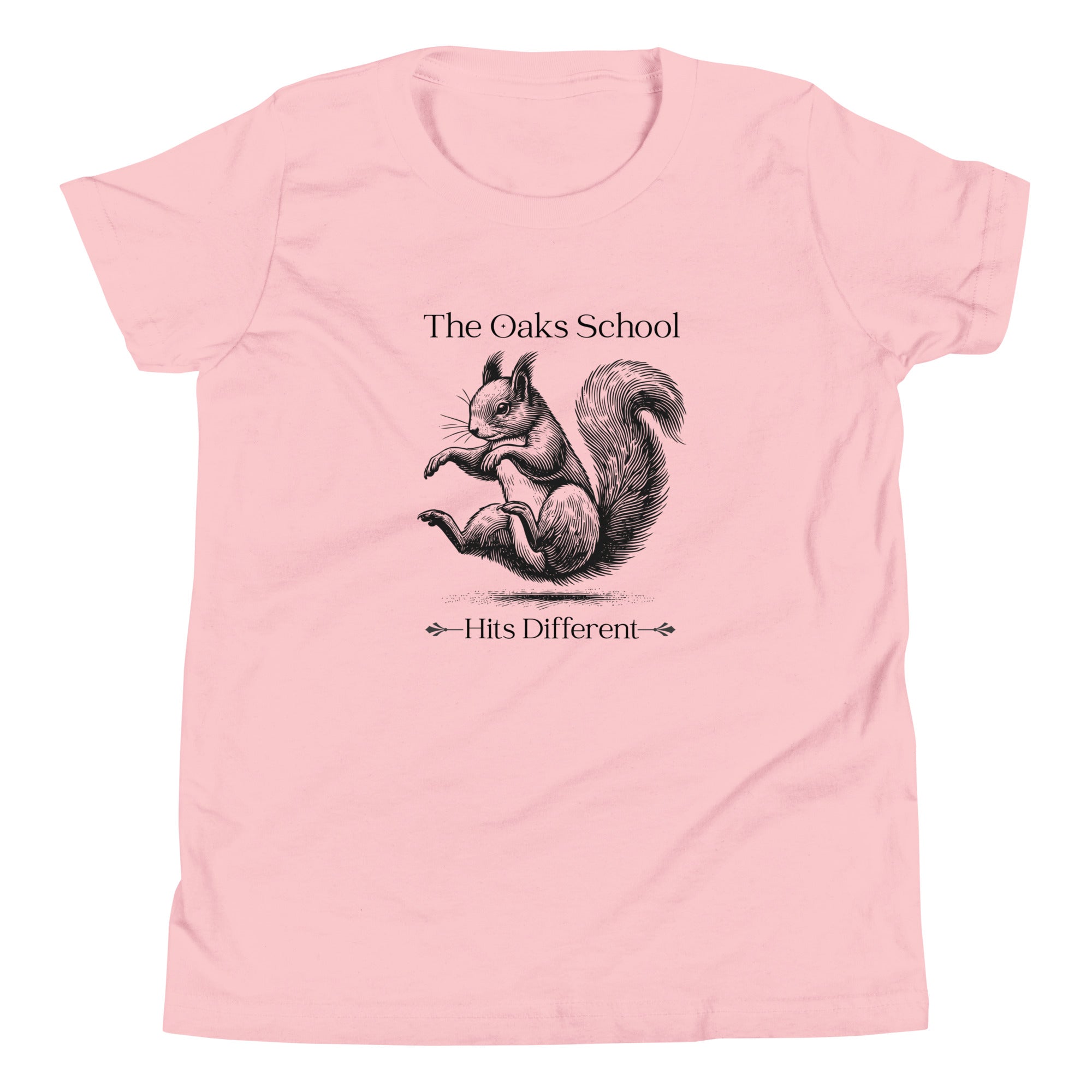Product mockup: A pink tshirt on a white background featuring an illustration of a squirrel landing on its bottom and the text "The Oaks School" and "Hits Different"